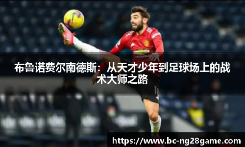 南宫28官方网站